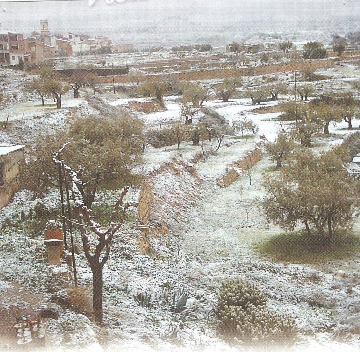 Casa Rural la Petita